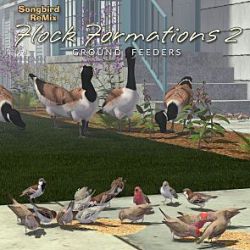 Songbird ReMix Flock Formations 2