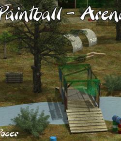 Paintball arena