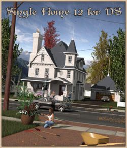 Single Home 12 for DS