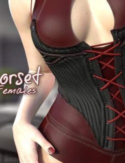 Boned Corset G8F