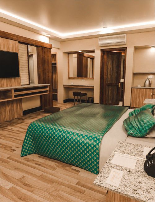 Click here to see preview images for "Tesla Deluxe King Room" Tesla Deluxe King Room