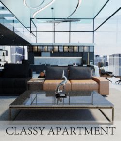 Classy Apartment