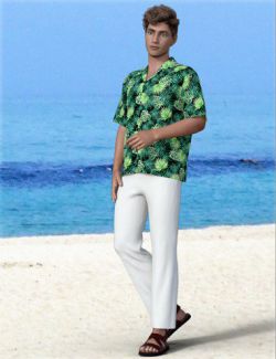 dForce H&C Hawaiian Shirts Outfit for Genesis 8 Male(s)