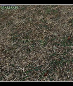 Panoramic Texture Resource: Grass Base