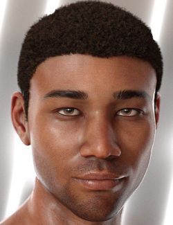 Malik Hair for Genesis 8 and Genesis 3 Male(s)