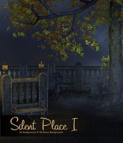 Silent Place I