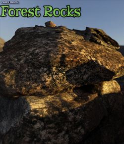 Photo Props: Forest Rocks