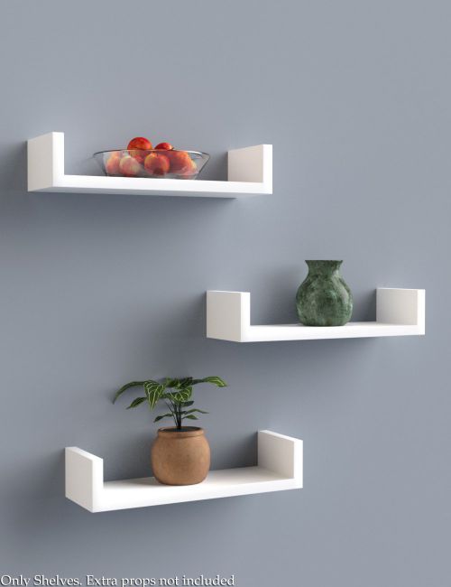 Contemporary Shelves | 3d Models for Daz Studio and Poser