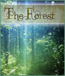 The Forest