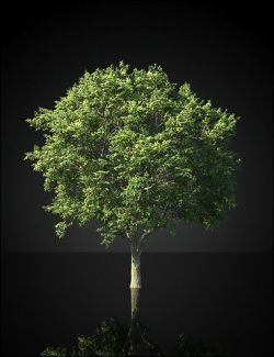 UltraTrees - Realistic Tree System