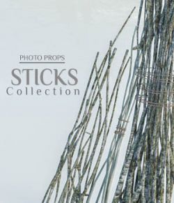 Photo Props: Stick Collection