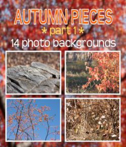 Autumn Pieces