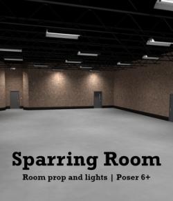 Sparring Room