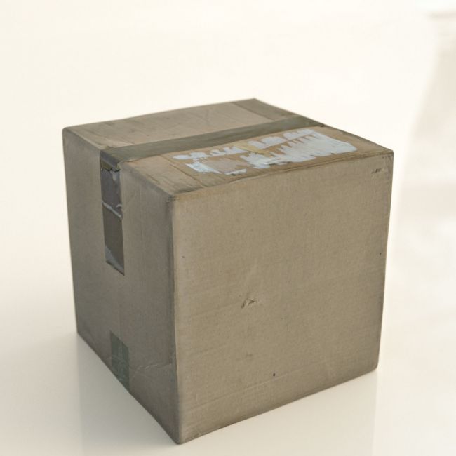 Photo Props: Cardboard Boxes | 3d Models for Daz Studio and Poser