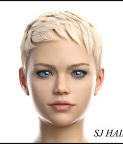 SJ Hair for Genesis 8 Female