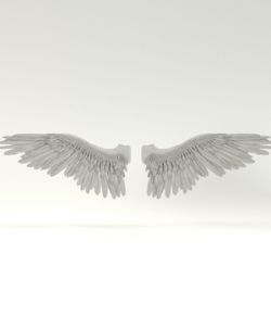 Angel or Bird Wings- Extended License