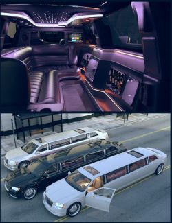 Long Luxury Limousine