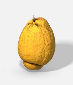 Fruit Citron - Lemon - Photoscanned PBR - Extended Licence