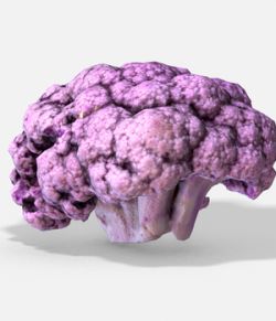 Vegetable Purple Cauliflower - Photoscanned PBR - Extended License