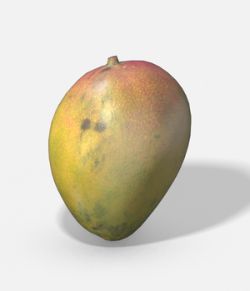 Exotic Fruit Mango- Photoscanned PBR Extended License