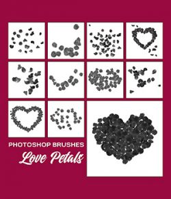 PB - Love Petals