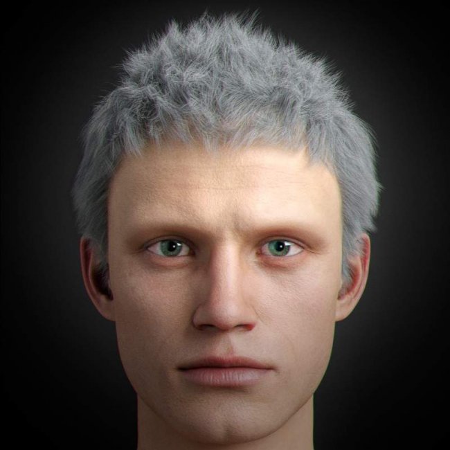 Nero DMC5 Hair For Genesis 8 Male | 3d Models For Daz Studio And Poser