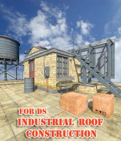 Industrial Roof Construction for DS