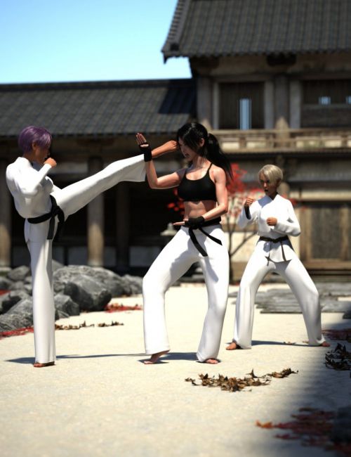 Attractive Young Women in a Karate Pose Stock Image - Image of defense,  action: 60409893