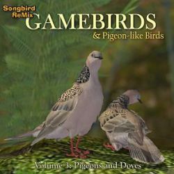 SBRM Gamebirds Vol 3