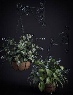 DGV Miniature Gardens vol 3 Hanging Plants