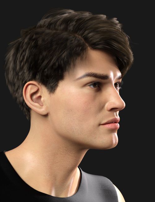 Vernon HD for Genesis 8 Male | 3d Models for Daz Studio and Poser