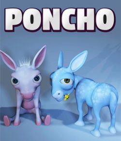 Poncho