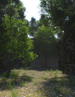 Path Between the Cliffs