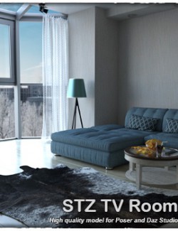 STZ TV Room