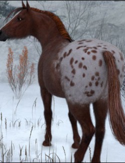 Appaloosa Overlays2 for the HiveWire Horse