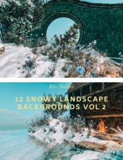 12 Snowy Landscape Backgrounds Vol 2