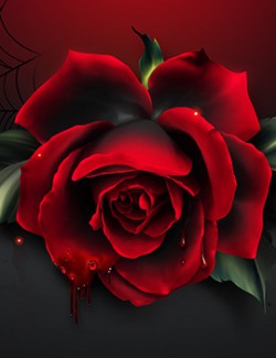 Moonbeam's Vampire Roses