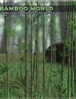 Photo Plants: Bamboo World