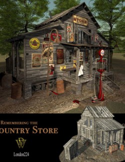 MS20 Country Store Phase 2 Obj & fbx- Extended License