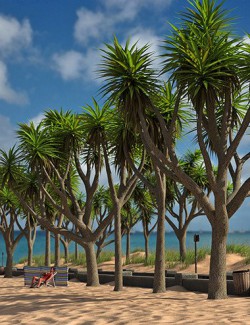 Predatron Cabbage Palm Trees