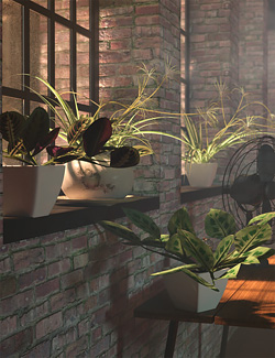 Tropical Plants Vol 4 - House Plants