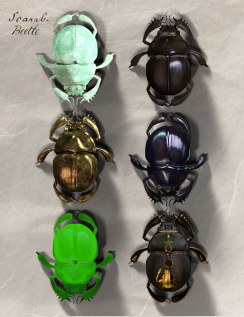 egyptian scarab beetle insect