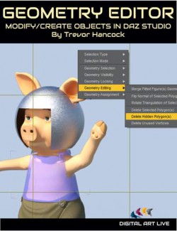 How To Use the DAZ Studio Geometry Editor