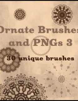 Ornate Brushes and PNGs 3