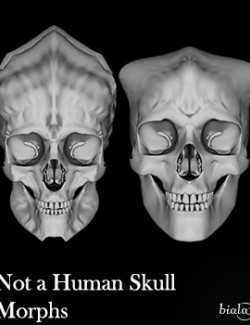 Not a Human Skull Morphs