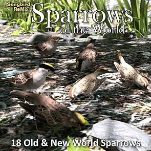 SBRM Sparrows of the World