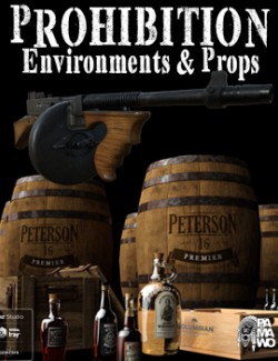 Prohibition Environments and Props for DS