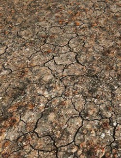 Panoramic Texture Resource: Parched Ground