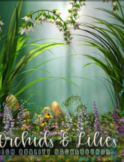 Orchids and Lilies Backgrounds