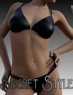 Secret Style 23